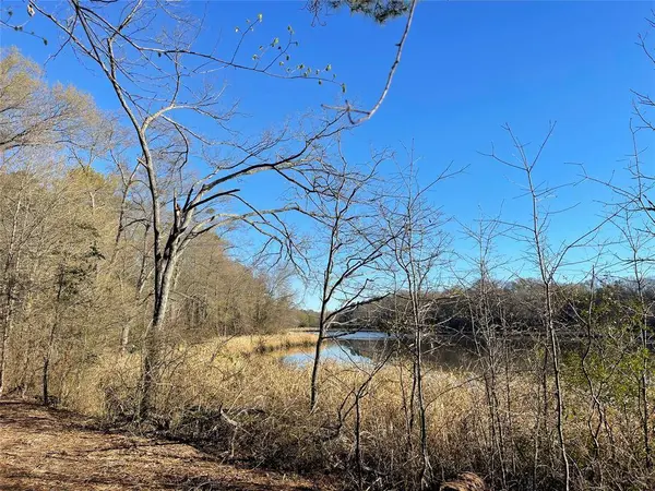 TBD Lot 6 County Road 2200, Mineola, TX 75773