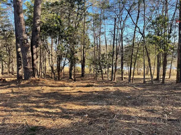 TBD Lot 6 County Road 2200, Mineola, TX 75773