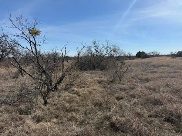 TBD 5.37 Acres Valley View Road, Brownwood, TX 76801
