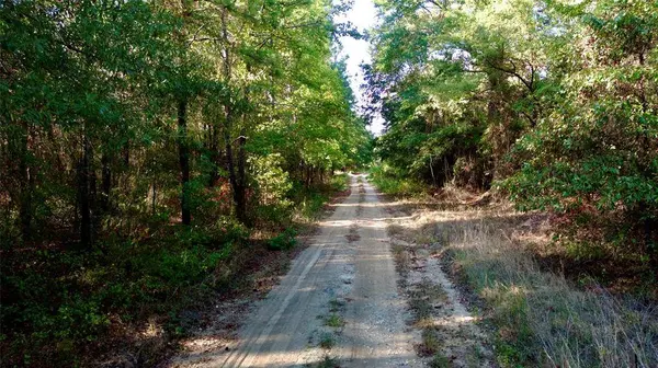 TBD 87.693 Acres SH 154, Quitman, TX 75783