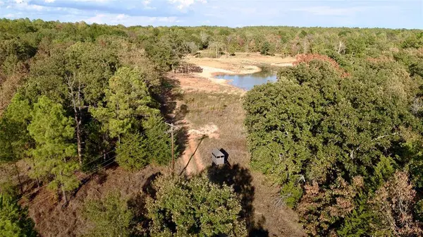 TBD 87.693 Acres SH 154