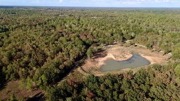 TBD 87.693 Acres SH 154, Quitman, TX 75783