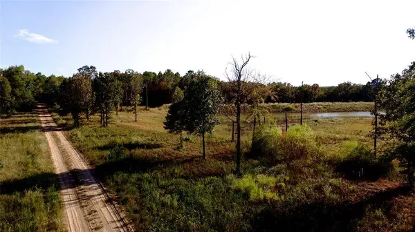 TBD 87.693 Acres SH 154, Quitman, TX 75783
