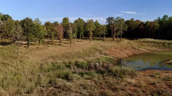 TBD 87.693 Acres SH 154, Quitman, TX 75783