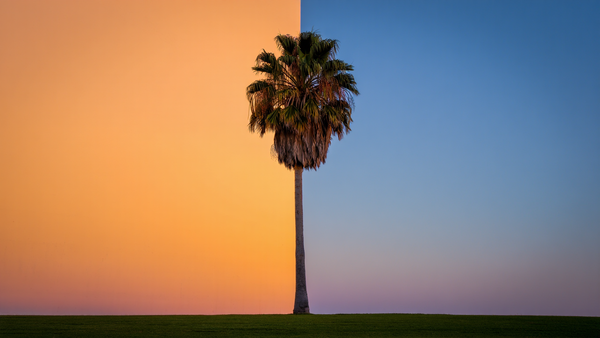 San Diego's Housing Market Mimics Our Weather: Buyer Demand Warms (11%) as New Listings Chill (15%)