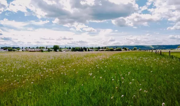 4 Avenue SE, Diamond Valley, AB T0L 1H0