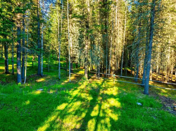 13 Chickadee RD, Waiparous, AB T0L 1N0