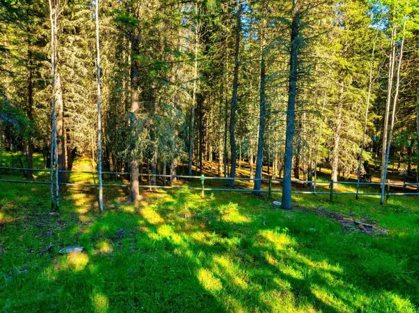 13 Chickadee RD, Waiparous, AB T0L 1N0