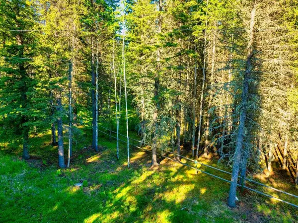 13 Chickadee RD, Waiparous, AB T0L 1N0