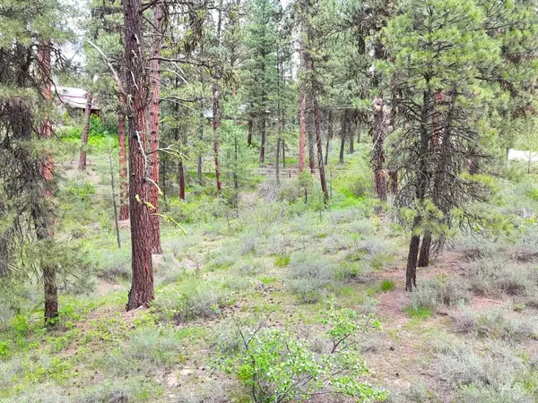 TBD Meadow Rd, Idaho City, ID 83631