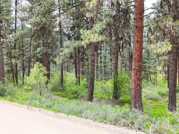TBD Meadow Rd, Idaho City, ID 83631