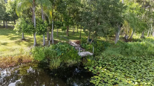 17804 WATERWAY CREEK DR, Lutz, FL 33549