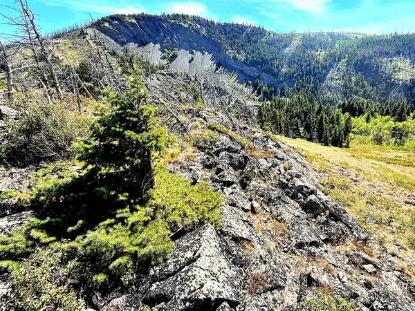NKN Heart Butte Cutoff, East Glacier Park, MT 59434