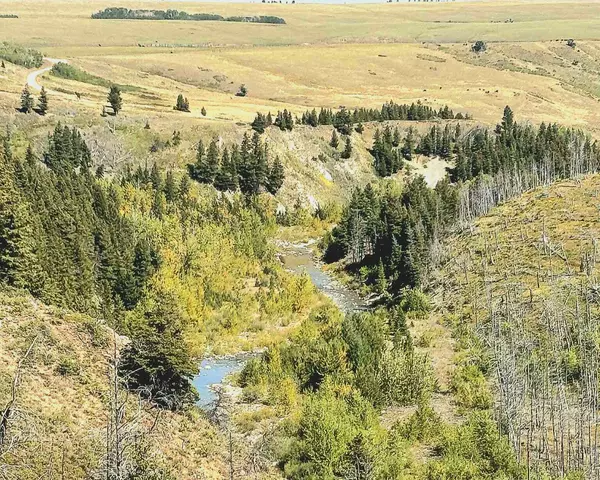 NKN Heart Butte Cutoff, East Glacier Park, MT 59434