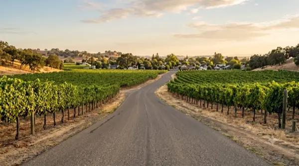 Moving to Woodbridge From the Bay Area: What to Know,Jeremiah Patterson