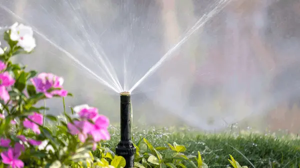 Summer Home Maintenance Tips to Keep Your Home in Top Shape