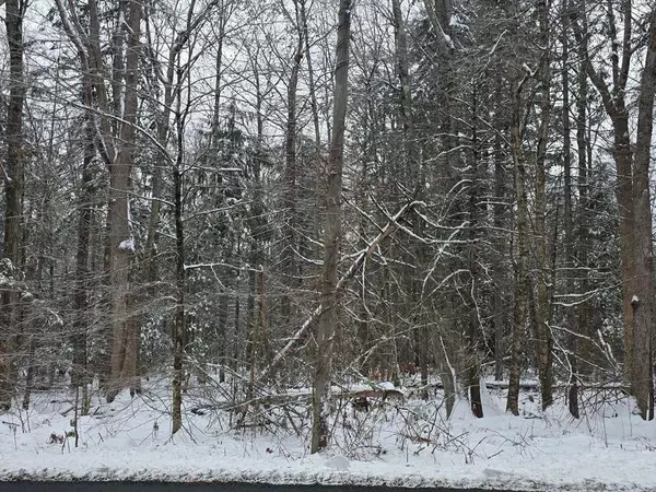 1154 Colebrook River Rd, Tolland, MA 01034