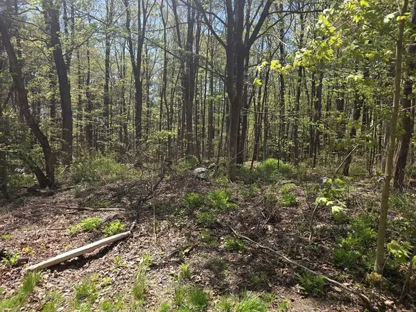 Lot 1 Winter St, Orange, MA 01364