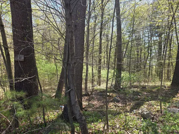 Lot 2 & 3 Beacon St, Orange, MA 01364