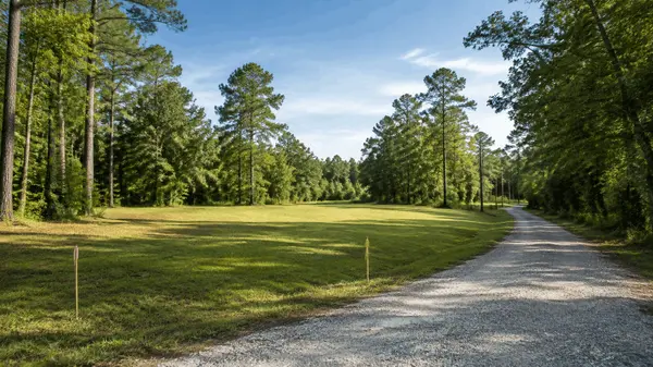 Buying Land in South Mississippi: Surveys, Access, Utilities, Timber and Restrictions