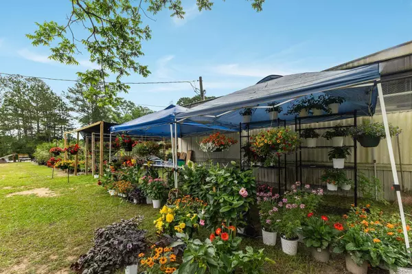 401 Buckatunna Chicora Clara Rd., Waynesboro, MS 39367