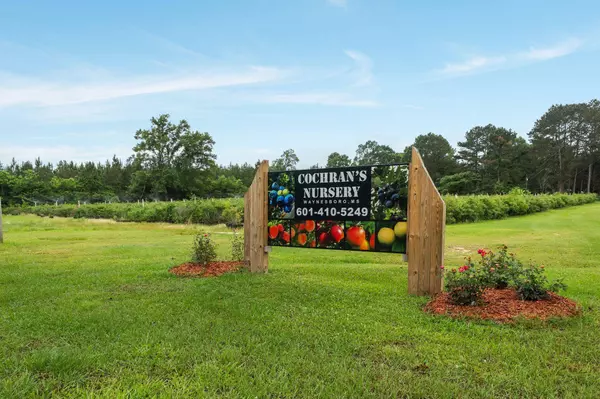 401 Buckatunna Chicora Clara Rd., Waynesboro, MS 39367