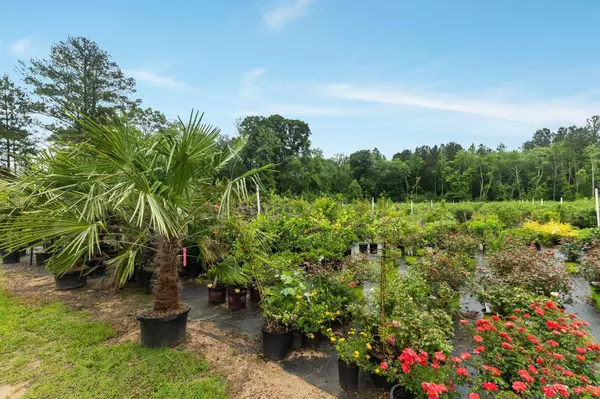 401 Buckatunna Chicora Clara Rd., Waynesboro, MS 39367