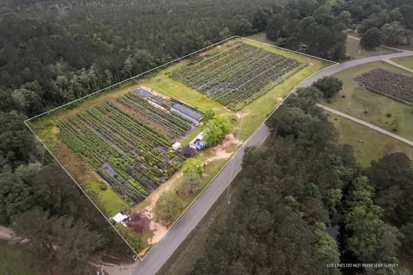 401 Buckatunna Chicora Clara Rd., Waynesboro, MS 39367