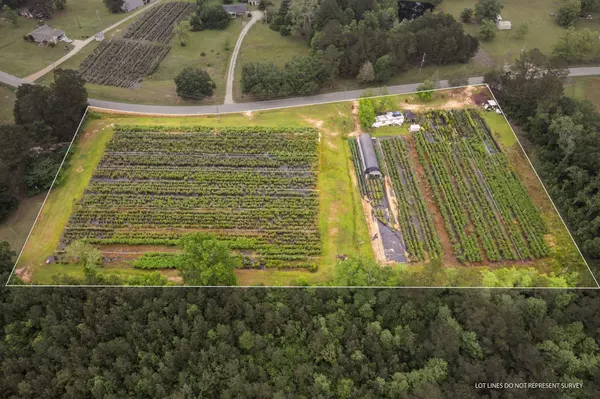 401 Buckatunna Chicora Clara Rd., Waynesboro, MS 39367