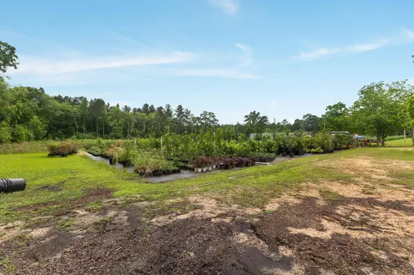 401 Buckatunna Chicora Clara Rd., Waynesboro, MS 39367