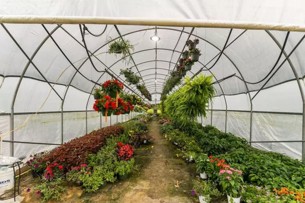 401 Buckatunna Chicora Clara Rd., Waynesboro, MS 39367