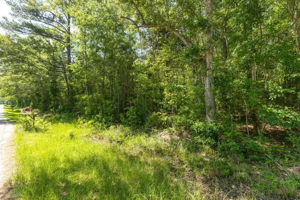 00 Ben Thompson Rd., Moselle, MS 39459