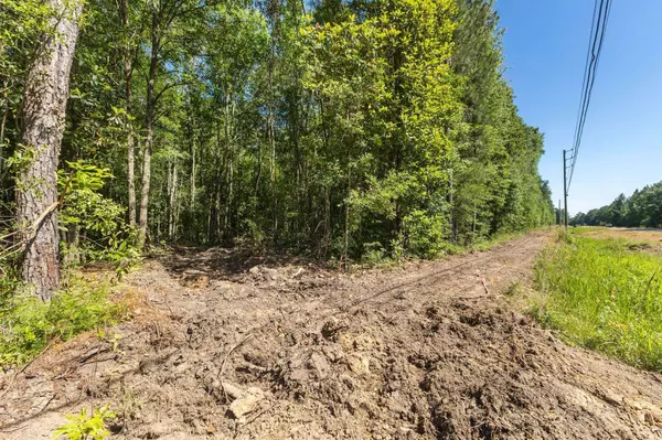 00 Ben Thompson Rd., Moselle, MS 39459