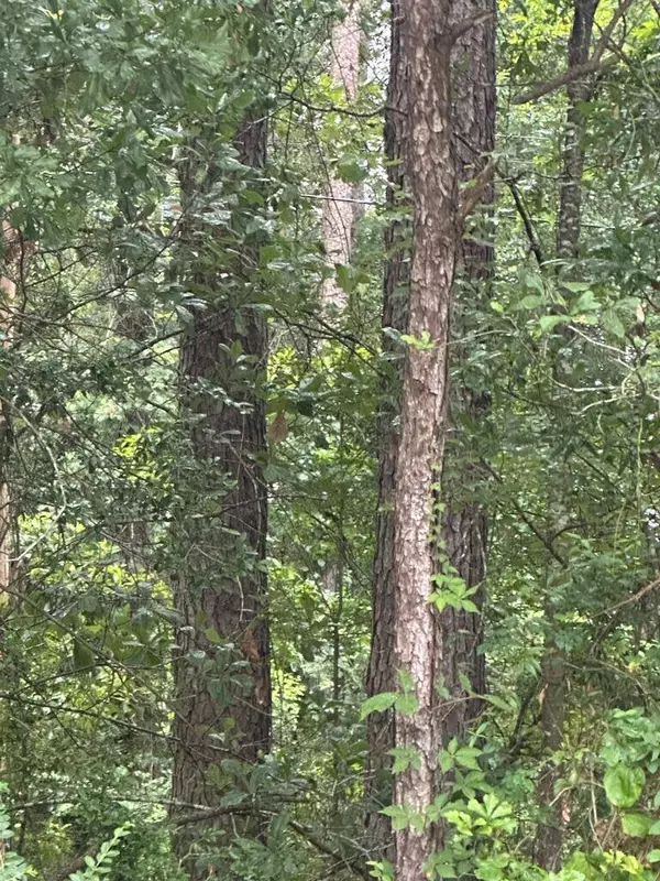 00 Glade Paulding Rd., Laurel, MS 39443