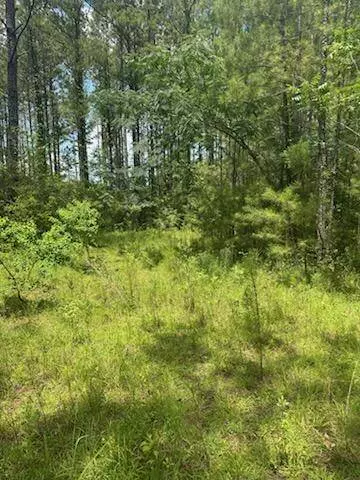 00 Longleaf Dr., Petal, MS 39465