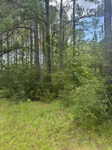 00 Longleaf Dr., Petal, MS 39465