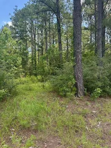 00 Longleaf Dr., Petal, MS 39465