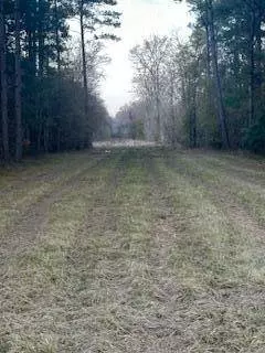 0 MS-512, Quitman, MS 39355