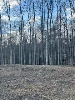 0 MS-512, Quitman, MS 39355