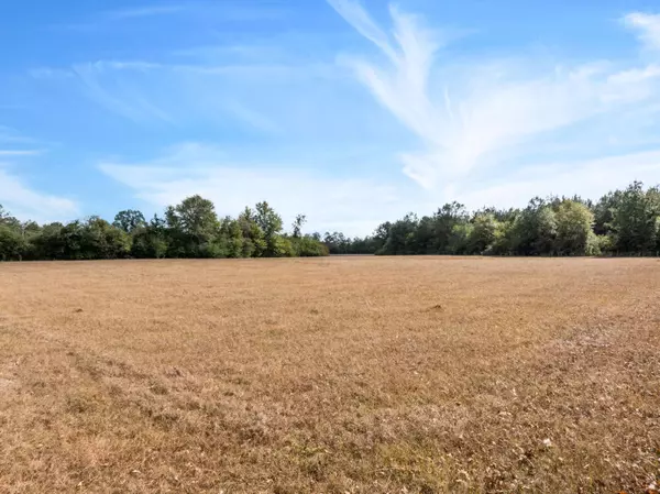 1565 Shubuta Eucutta Rd., Shubuta, MS 39360