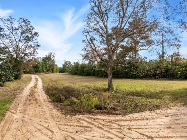 1565 Shubuta Eucutta Rd., Shubuta, MS 39360