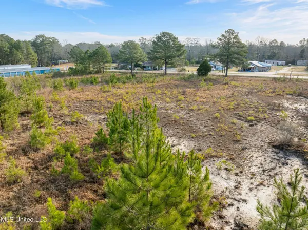 14.75 Acres Highway 11, Ellisville, MS 39437