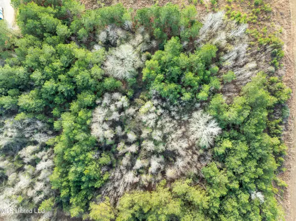 14.75 Acres Highway 11, Ellisville, MS 39437