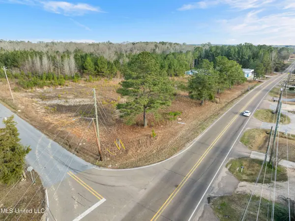 14.75 Acres Highway 11, Ellisville, MS 39437