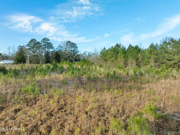 14.75 Acres Highway 11, Ellisville, MS 39437