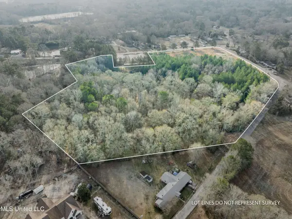 14.75 Acres Highway 11, Ellisville, MS 39437