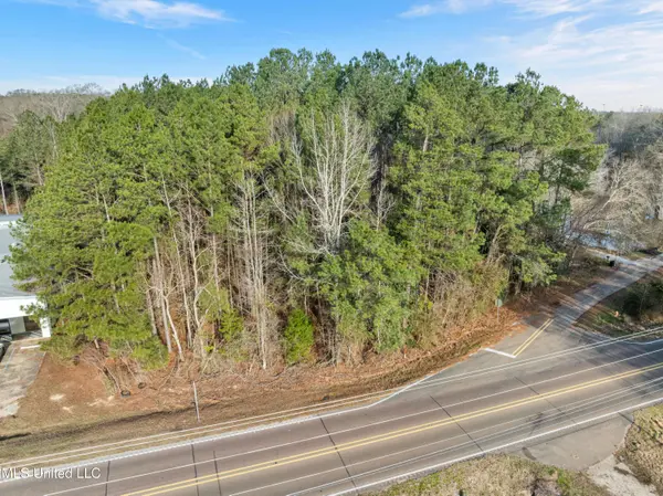 14.75 Acres Highway 11, Ellisville, MS 39437