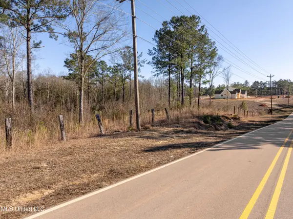 5.5 Acres Lynn Ray Road, Petal, MS 39465