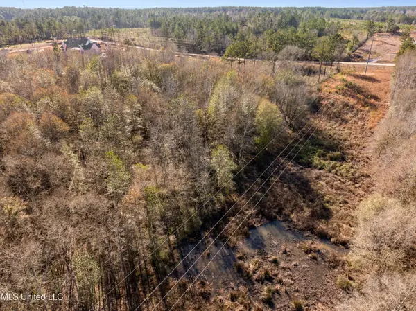 5.5 Acres Lynn Ray Road, Petal, MS 39465