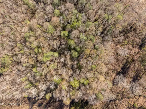 5.5 Acres Lynn Ray Road, Petal, MS 39465